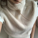 turtle vest - vt