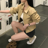 [Bellide made] Wytan, slit line cotton blouson