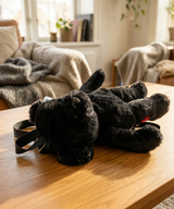 Standing Teddybear Backpack [BLACK]