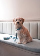 Holiday in paris two ways leash (sky blue)
