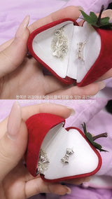jewelry acc case