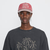 Into The Wild Cap Washed Pink