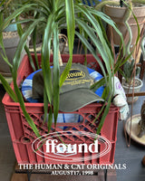 FFOUND WASHED VINTAGE BALL CAP / KHAKI