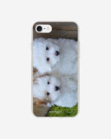 two puppies case