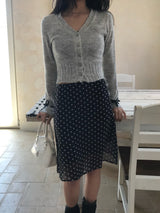 Misty Sheer Dot See-through Mini Skirt