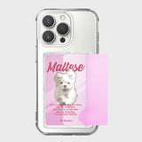 GOOREUM illustration card storage jelly hard case