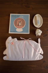 Cat book cover _ peach