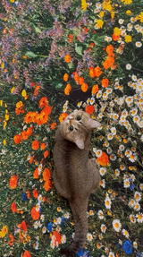 Secret Garden, Landscape rug 100x150