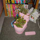 TOILET PLANT POT (S/PINK)