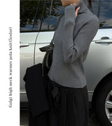 Golgi high neck warmer pola knit(5color)