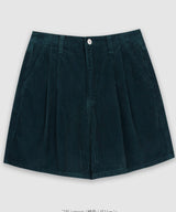 Corduroy pants - pt