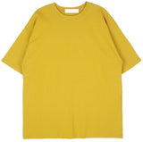 No.8208 basic box half T (9color)