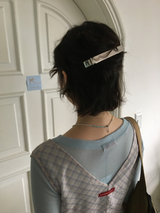 Metal Max clip (1color)
