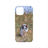 [spring kitten hard case]