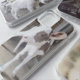 [little baby calf jelly hard case]