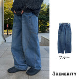 Low curve cargo denim jeans (Blue)