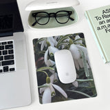 oab photo mousepad set / 2 pieces