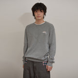 Dolphin Check Applique Crew Neck Knit