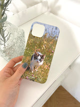 [spring kitten hard case]