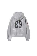 pt hood zip up (grey)