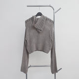 Bonhe See-Through Knit Hooded Zip-Up