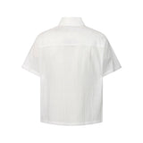 Cedric Crinkle Sheer Shirt