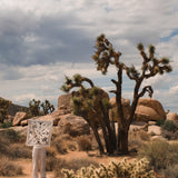 [Scarf] Joshua Tree - White