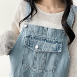 Monthly pocket suspender dress