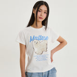 マルチーズイラストレーションハーフスリーブTシャツ