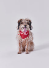 Naming merry ribbon bandana (Red)