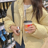 gelato pastel cropped padded jacket