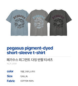 ペガサス ピグメントダイ ショートスリーブ Tシャツ (3color)