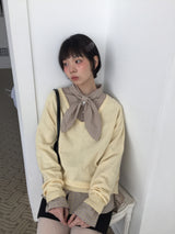 クリーンチェックタイシャツ (3color)
