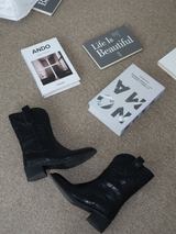 embroidery western boots