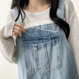 Monthly pocket suspender dress