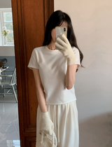 Basic Winter Mink Warm T-shirt (5color)