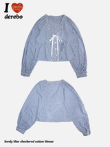 lovely blue checkered cotton blouse