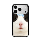 クッキーズアンドクリームギニアケース