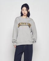 25FW METAL TEXTURE SWEATSHIRT MELANGE