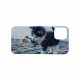 [playful baby kitten hard case]