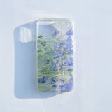 Delphinium shower