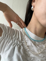 [925silver] Huge earring