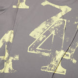 COLLECTION PIN TUCK POINT GRAPHIC T-SHIRT [GRAY]
