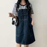 Monthly pocket suspender dress