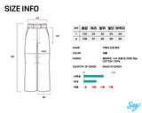 Carpenter Docking Pants Charcoal