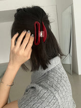 Title hair clip (4color)