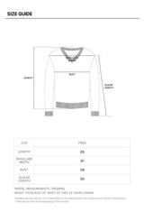Soft Fur V-neck Knit Top (BEIGE)