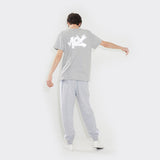 Aox SS tshirt(Gray)