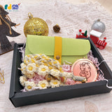 Illustrator Collaboration 2024 Christmas Gift 