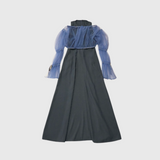 nina sheer dress